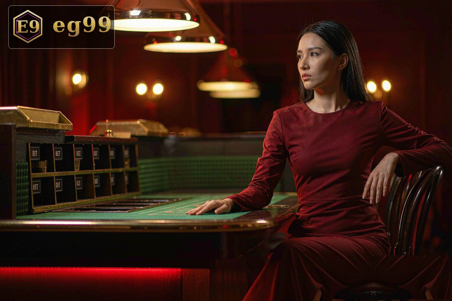 European Roulette Pro ပုံ ၄